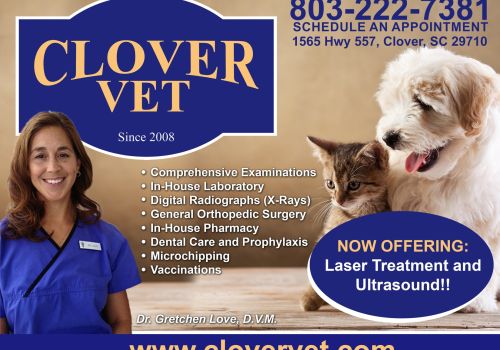Clover Vet