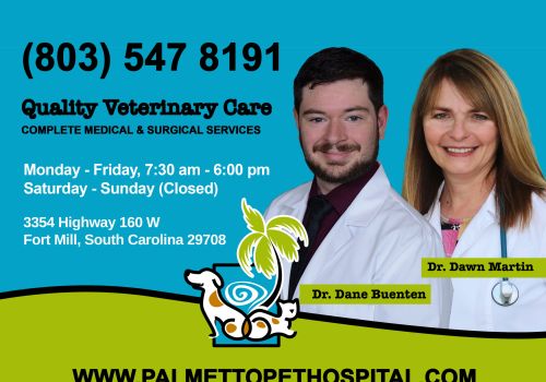 Palmetto Pet Hospital