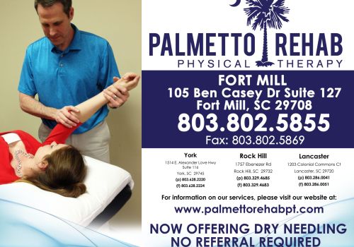 Palmetto Rehab Physical Therapy
